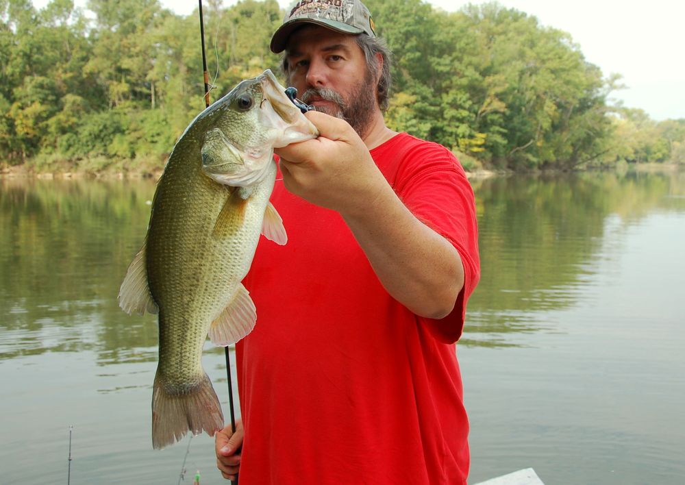 What Is a Lunker Bass Grape Hammock