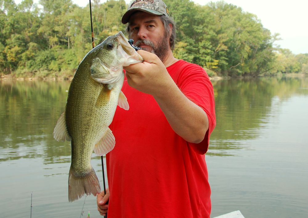 What Is a Lunker Bass? - Grape Hammock