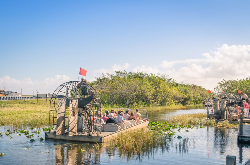 When’s the Best Time to Go on an Airboat Ride? - Grape Hammock